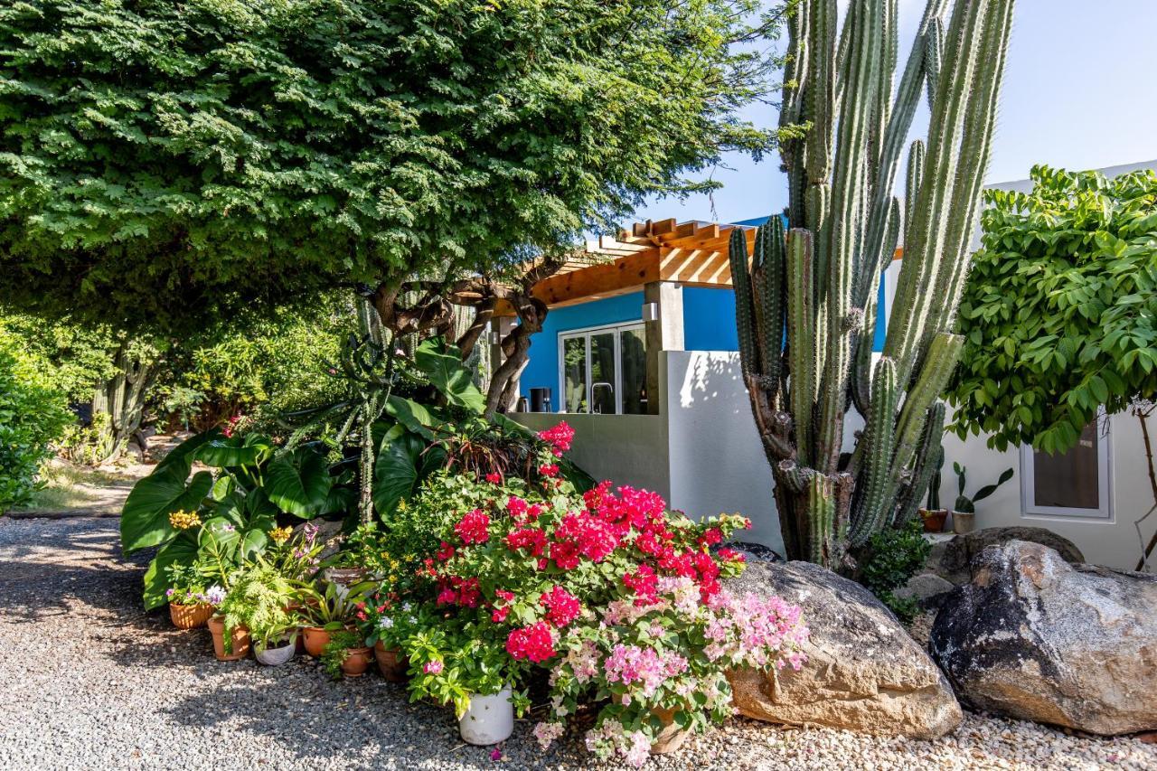 Naima Luxury Home, Cottage & Apartment Rentals Paradera Eksteriør bilde